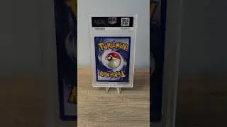 Shining Tyranitar back