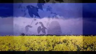 luxuslärm: von jetzt an