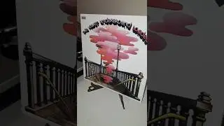 The Velvet Underground Loaded #vinyl #rock #music #collection #70s #shorts #reels #lp #lps #loureed