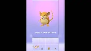 (Raticate) Pokemon # Evolved from (Rattata) Pokemon # Pokemon Go