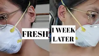 GOT MY CONCH & ROOK PIERCED ONE WEEK APART | IS IT PAINFUL? | LIS PARAISO