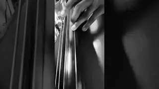 “Bb Rhythm” - Bass.  The Simplicity and Beauty of Half Steps. ~REGINALD VEAL