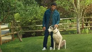 Russel Wilson x Banfield Foundation | Safer Together Initiative | Banfield Pet Hospital