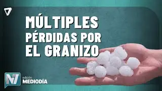 Mendoza declaró la emergencia AGROPECUARIA tras las FUERTES tormentas