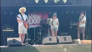 25 or 6 to 4 (Chicago cover)