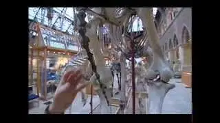Oxford University Museum - Take One Museum