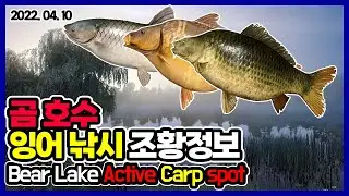 러시안피싱4│220410 곰 호수 잉어 낚시 조황정보 Bear Lake Active Carp spot RF4 russian fishing 4