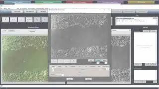 DEMO: Smart Find™ Technology in Action 2