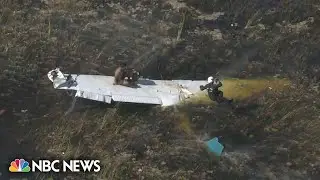 Video shows pilot being lifted to safety after crashing into Florida Everglades