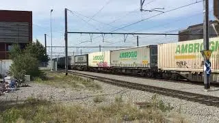 BLS 475 418