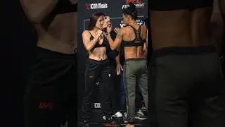 ENCARADA! JENNIFER MAIA VS VIVI ARAUJO