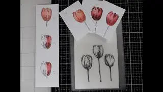 Stempels en inkleuren met potloden