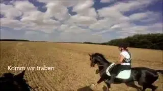 [Go Pro Helmkamera] Galopp auf dem Stoppelfeld