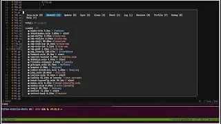 Kickstart Your nvim with default config