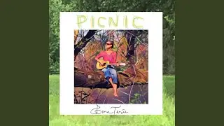 Picnic