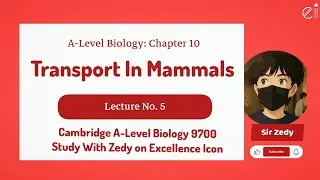 Transport In Mammals | Problems With Oxygen Transport | Cambridge A-Level Biology 9700