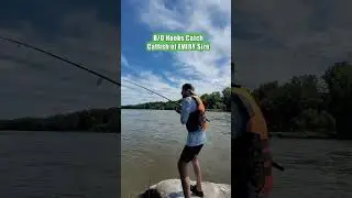 River Fishing Tips & Tricks: 8/0 Circle Hook Catch 1 LB & 70 LB Catfish: FATKAT Best Catfishing Rigs