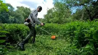 Brushcutter vs. Nettles