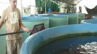 Grow Fish Anywhere Saves Fish