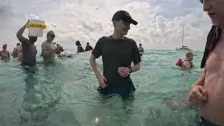 Stingray City, Grand Cayman, December 2025. 