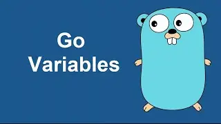 variables in go | go variables | go as statically typed language