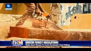 Bauchi Govt Moves To Curb Indiscriminate Tree Felling Pt.3 |News@10| 08/07/18