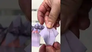 보라 종이학접기 