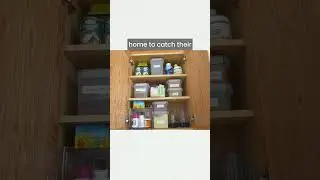 The Real Reason You're Struggling to Stay Organized (And How to Fix It)