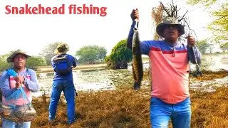 HOW TO CATCH SNAKEHEAD FISH🐟🐟 SNAKEHEAD FISHING | Best fishing spot