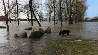 Hochwasser in Wedel 30.Januar 2022