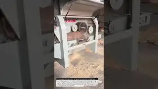 Automatic Log Saw Cutting Machine &ndash; High-Speed Multi Blade Wood Processing Technology.