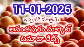 Anantapur tomato market rates/today tomato market rates #Anantapur #agriculture #tomato rate #tomato