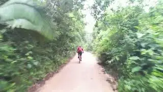 Cerrado e Floresta: Pedal Épico pelos Biomas do Oeste do Pará