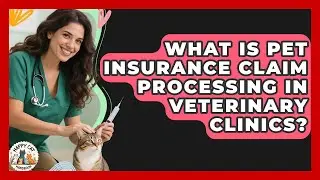 What Is Pet Insurance Claim Processing In Veterinary Clinics? - Animal Care Jobs