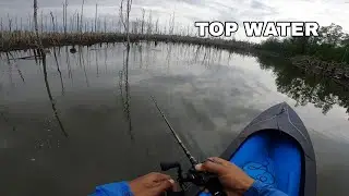 FULL TOP WATER CASTING !!