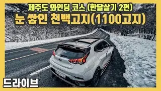 [엄군 드라이브] 제주도 드라이브 코스 - 제주도 한라산을 관통하는 천백고지 휴게소+천백고지 와인딩 코스(제주도 한달살기 2편)｜#벨로스터n #와인딩 #벨엔 #벨로스터ndct