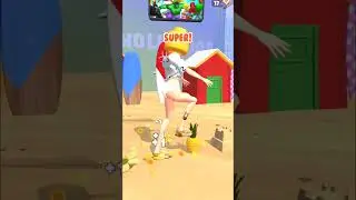 Tippy Toe #4