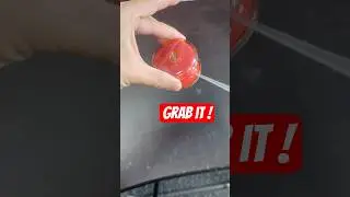 New Yo-Yo: Hyper YoYo Accel Grab by BANDAI #yoyo