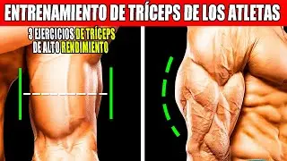 LOS 3 EJERCICIOS M&Aacute;S PODEROSOS PARA AUMENTAR TUS TR&Iacute;CEPS