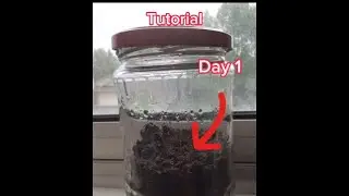 Day 1 of putting dirt in a jar (tutorial)