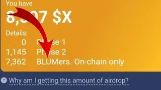 Blumers token in X empire | How to withdraw blumers token
