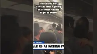 New Jersey man arrested after fighting on Frontier Airlines flight to Miami #airplane #miami #fight