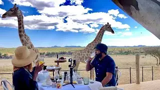 Giraffe Feeding in Namibia | Voigtland Guesthouse | Unique experiences in Africa | NAMIBIAN YOUTUBER