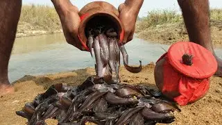 Unique fishing technique in riverwater.  Sting catfish catching with mud pot. New idea fish trap.