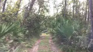 Florida backwoods exploring