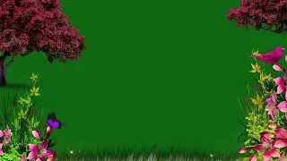 Chroma Key Green Screen / Green Screen Background Video / Nature Green Screen Video / Green Screen