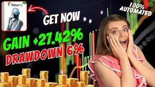 Why Traders Are Rushing to Use ToborFX EA for FTMO, MFF & TFT Challenges
