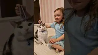 CAT GETS HEAD MASSAGE #cats #catshorts #catlover #kitty #love #funny #catvideos