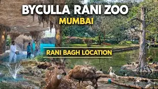Byculla Zoo Mumbai Full Tour Guide | Rani Baug Mumbai | Veermata Jijabai Bhosale Udyan & Zoo