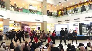 250523 YOULLENCE X LG_ENTERTAINMENT cover EVERGLOW &lsquo;FIRST&rsquo; at KPOP IN PUBLIC 3